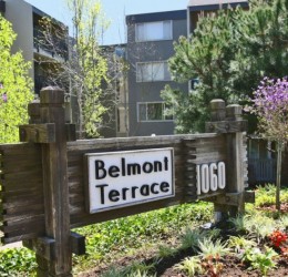 Belmont Terrace