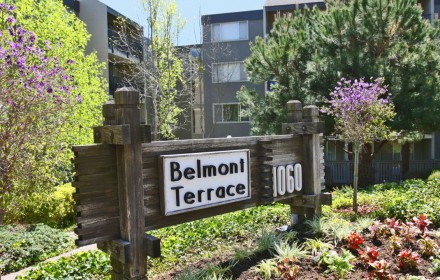 Belmont Terrace